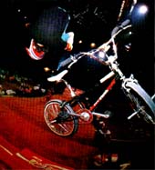 mat hoffman